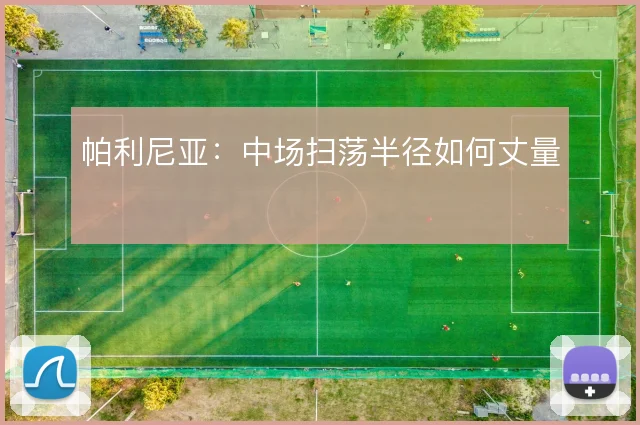 帕利尼亚：中场扫荡半径如何丈量
