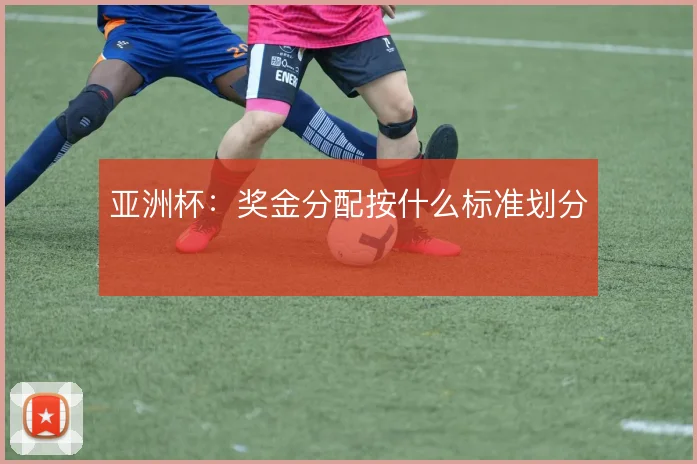 亚洲杯:奖金分配按什么标准划分