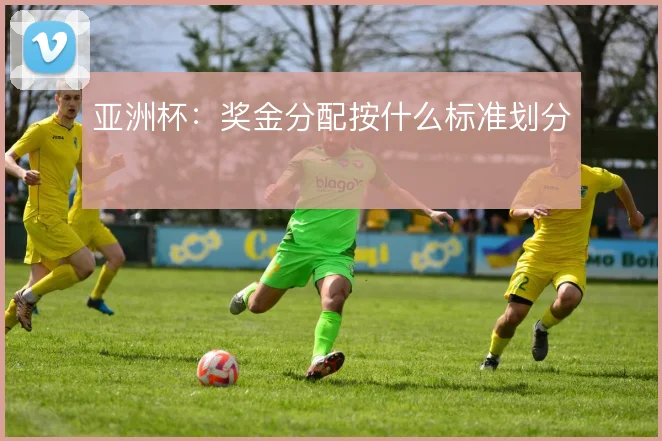 亚洲杯：奖金分配按什么标准划分