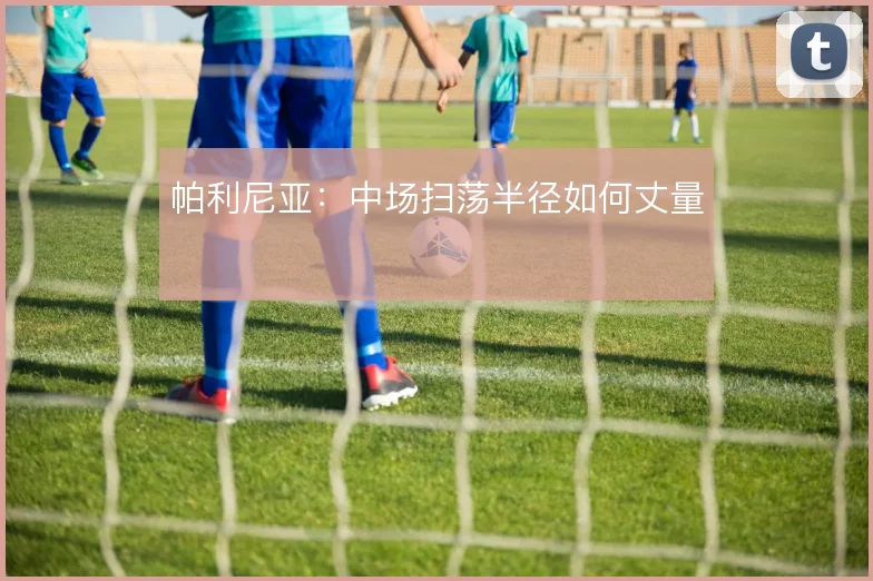 帕利尼亚：中场扫荡半径如何丈量